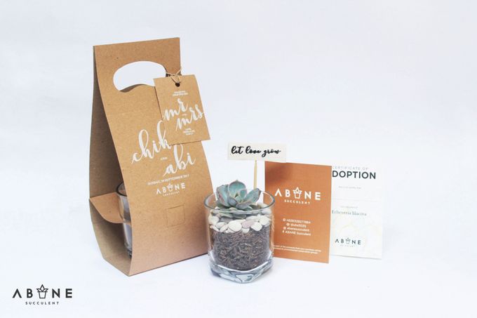Wedding Souvenir for Chika and Abi by ABANE Succulent - 001 Wedding Souvenir for Chika and Abi by ABANE Succulent - 001