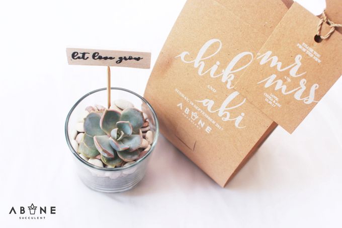 Wedding Souvenir for Chika and Abi by ABANE Succulent - 005 Wedding Souvenir for Chika and Abi by ABANE Succulent - 005