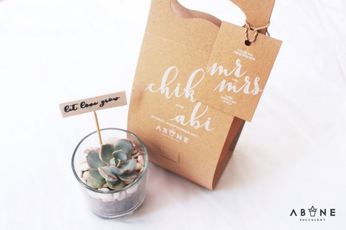 Wedding Souvenir for Chika and Abi by ABANE Succulent - 006 Wedding Souvenir for Chika and Abi by ABANE Succulent - 006