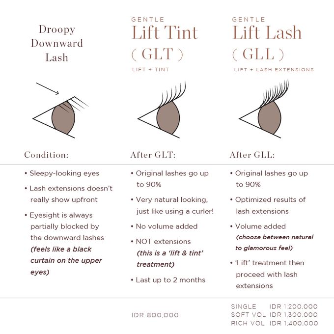 Gentle Lift Tint - GLT & Gentle Lift Lash - GLL by Dandelion ID - 005 Gentle Lift Tint - GLT & Gentle Lift Lash - GLL by Dandelion ID - 005