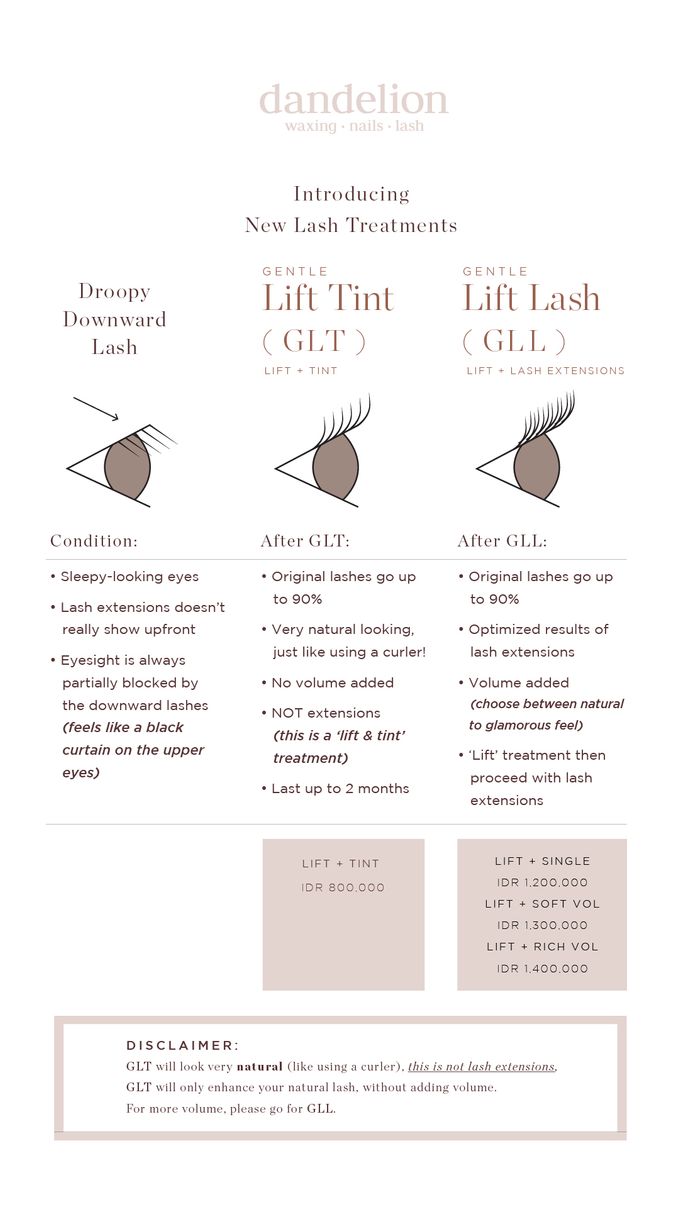 Gentle Lift Tint - GLT & Gentle Lift Lash - GLL by Dandelion ID - 006 Gentle Lift Tint - GLT & Gentle Lift Lash - GLL by Dandelion ID - 006
