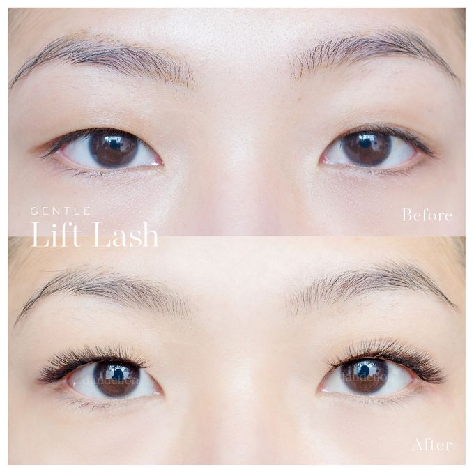 Gentle Lift Tint - GLT & Gentle Lift Lash - GLL by Dandelion ID - 017 Gentle Lift Tint - GLT & Gentle Lift Lash - GLL by Dandelion ID - 017