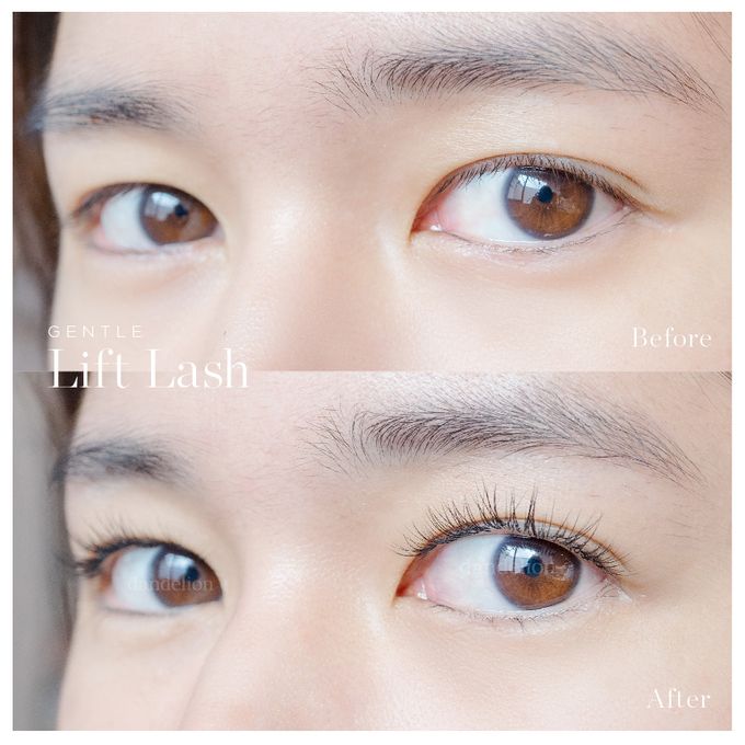 Gentle Lift Tint - GLT & Gentle Lift Lash - GLL by Dandelion ID - 013 Gentle Lift Tint - GLT & Gentle Lift Lash - GLL by Dandelion ID - 013