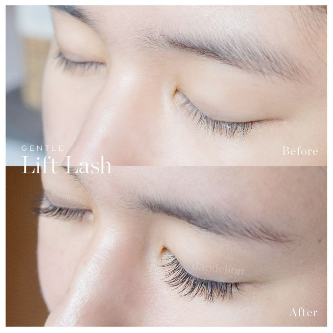 Gentle Lift Tint - GLT & Gentle Lift Lash - GLL by Dandelion ID - 012 Gentle Lift Tint - GLT & Gentle Lift Lash - GLL by Dandelion ID - 012