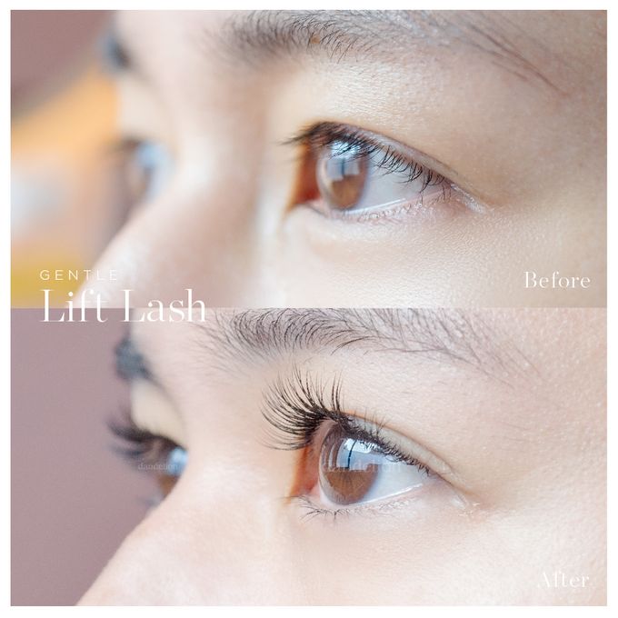 Gentle Lift Tint - GLT & Gentle Lift Lash - GLL by Dandelion ID - 011 Gentle Lift Tint - GLT & Gentle Lift Lash - GLL by Dandelion ID - 011