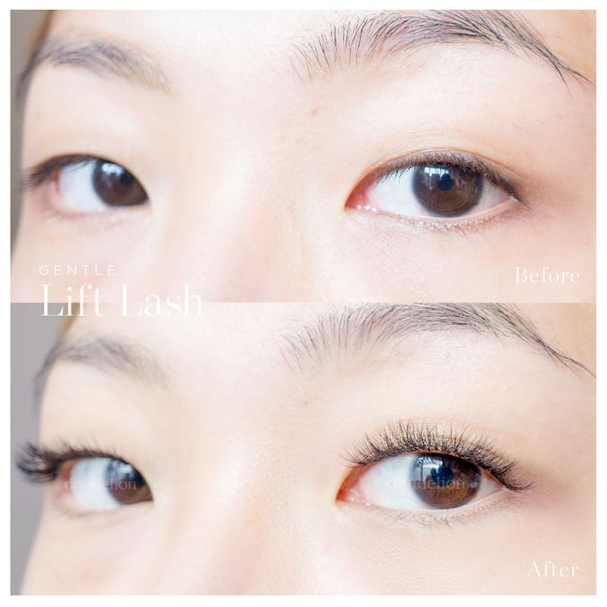 Gentle Lift Tint - GLT & Gentle Lift Lash - GLL by Dandelion ID - 016 Gentle Lift Tint - GLT & Gentle Lift Lash - GLL by Dandelion ID - 016