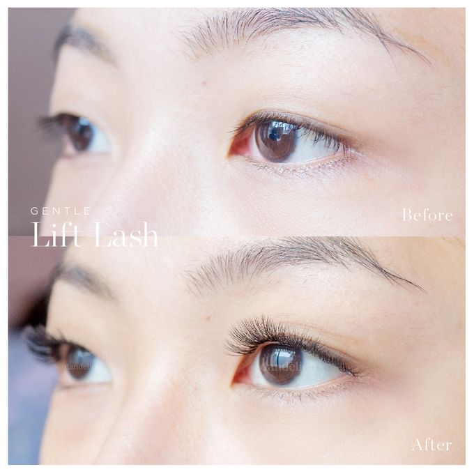 Gentle Lift Tint - GLT & Gentle Lift Lash - GLL by Dandelion ID - 015 Gentle Lift Tint - GLT & Gentle Lift Lash - GLL by Dandelion ID - 015
