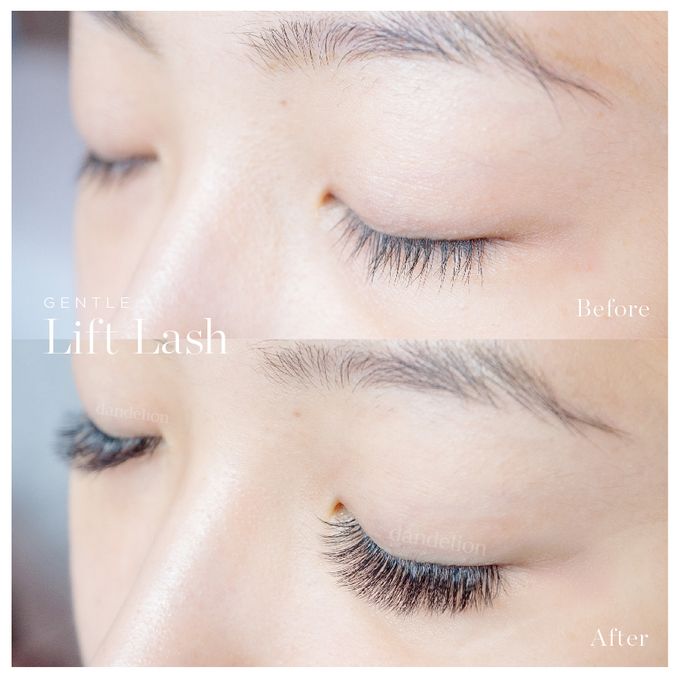 Gentle Lift Tint - GLT & Gentle Lift Lash - GLL by Dandelion ID - 014 Gentle Lift Tint - GLT & Gentle Lift Lash - GLL by Dandelion ID - 014