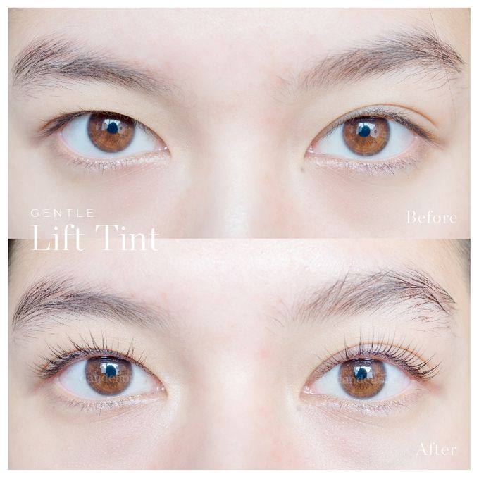 Gentle Lift Tint - GLT & Gentle Lift Lash - GLL by Dandelion ID - 007 Gentle Lift Tint - GLT & Gentle Lift Lash - GLL by Dandelion ID - 007