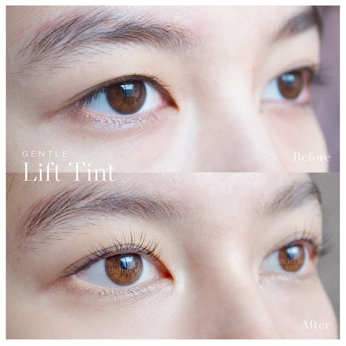 Gentle Lift Tint - GLT & Gentle Lift Lash - GLL by Dandelion ID - 008 Gentle Lift Tint - GLT & Gentle Lift Lash - GLL by Dandelion ID - 008