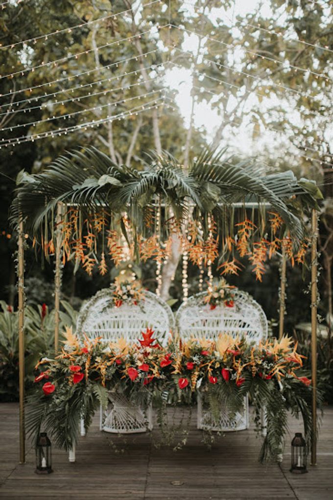 Download Decor tropical HD