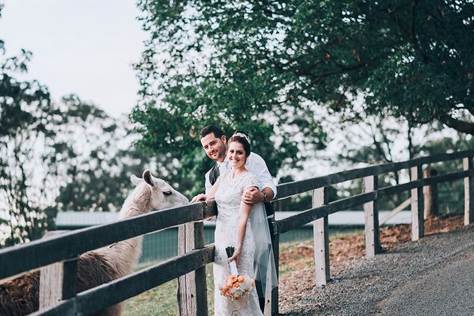Carly & Adam | Peppers Ruffles Lodge Wedding by Andrew Sun Photography - 030 Carly & Adam | Peppers Ruffles Lodge Wedding by Andrew Sun Photography - 030