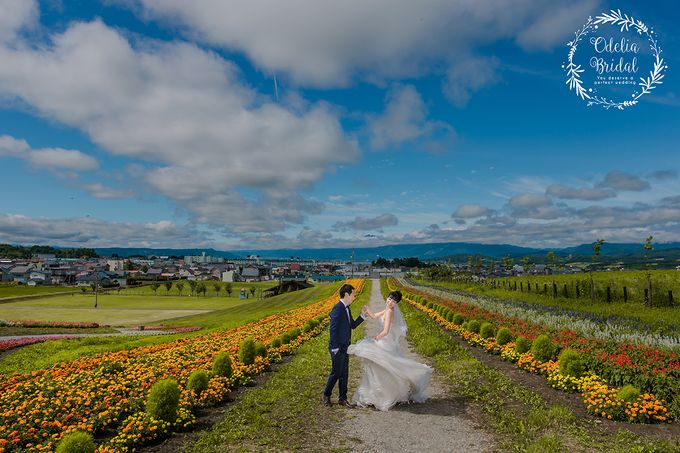 Hokkaido pre wedding photography by Odelia Bridal - 005 Hokkaido pre wedding photography by Odelia Bridal - 005