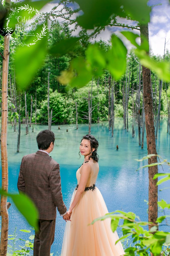 Hokkaido pre wedding photography by Odelia Bridal - 009 Hokkaido pre wedding photography by Odelia Bridal - 009