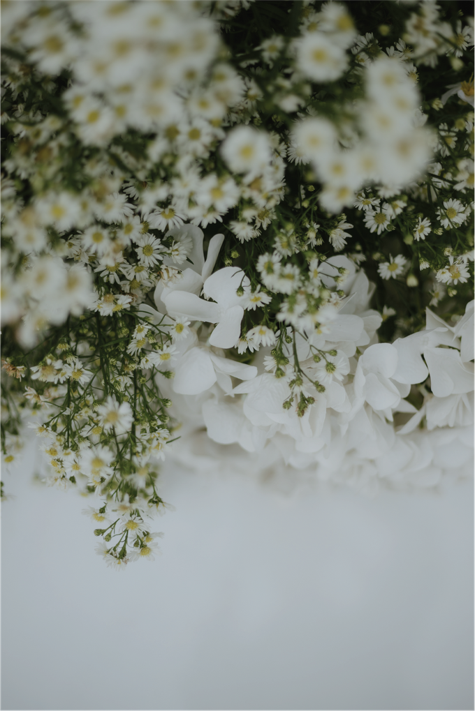 Steve & Angel Holy Matrimony Decoration at Mason Pine by Valentine Wedding Decoration - 012 Steve & Angel Holy Matrimony Decoration at Mason Pine by Valentine Wedding Decoration - 012