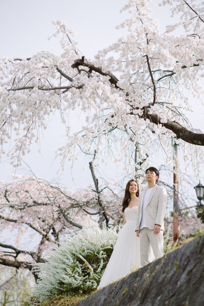 Japan Sakura / Cherry Blossom Prewedding by Hugh's Hue - 025