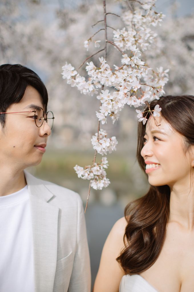 Japan Sakura / Cherry Blossom Prewedding by Hugh's Hue - 001