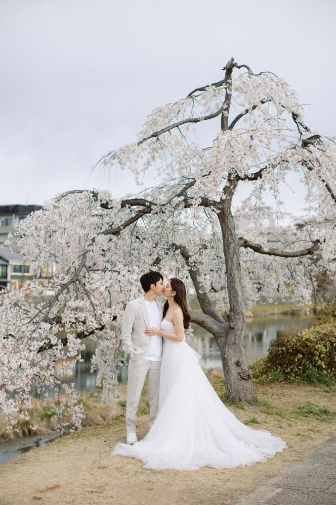 Japan Sakura / Cherry Blossom Prewedding by Hugh's Hue - 022