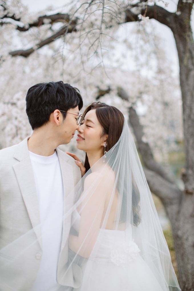 Japan Sakura / Cherry Blossom Prewedding by Hugh's Hue - 027