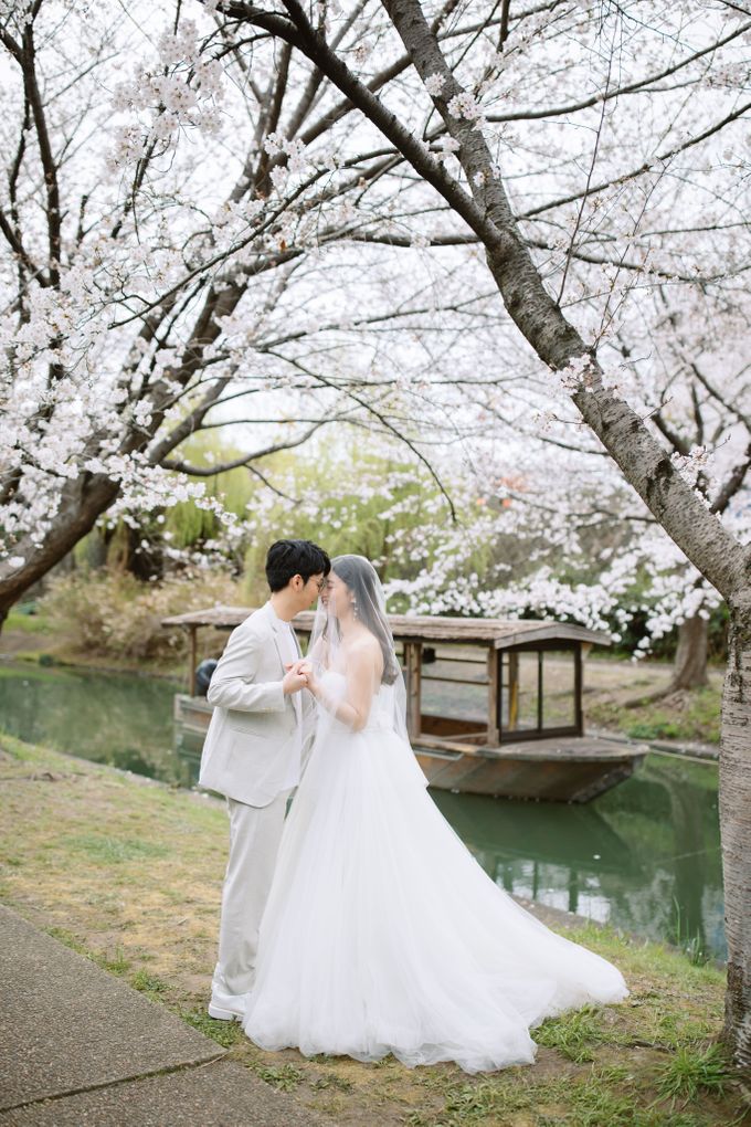 Japan Sakura / Cherry Blossom Prewedding by Hugh's Hue - 005