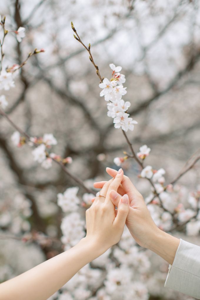 Japan Sakura / Cherry Blossom Prewedding by Hugh's Hue - 006