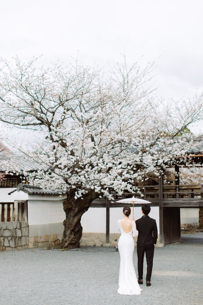 Japan Sakura / Cherry Blossom Prewedding by Hugh's Hue - 015