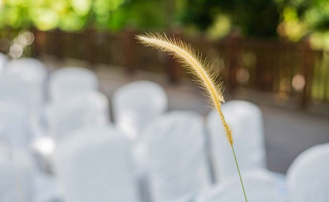 Shangrila Hotel Solemnisation by GrizzyPix Photography - 008