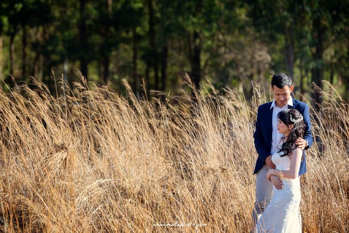 Eng Ui & Bella by Mata Photography - 006 Eng Ui & Bella by Mata Photography - 006