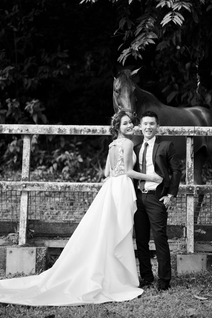 EG Couture Wedding Gowns by Elizabeth Grace Couture - 036 EG Couture Wedding Gowns by Elizabeth Grace Couture - 036