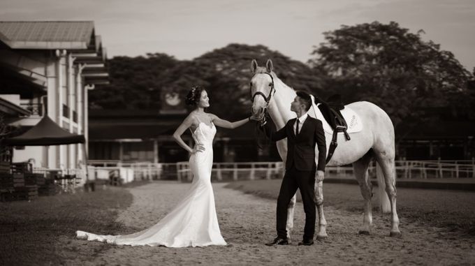 EG Couture Wedding Gowns by Elizabeth Grace Couture - 030 EG Couture Wedding Gowns by Elizabeth Grace Couture - 030
