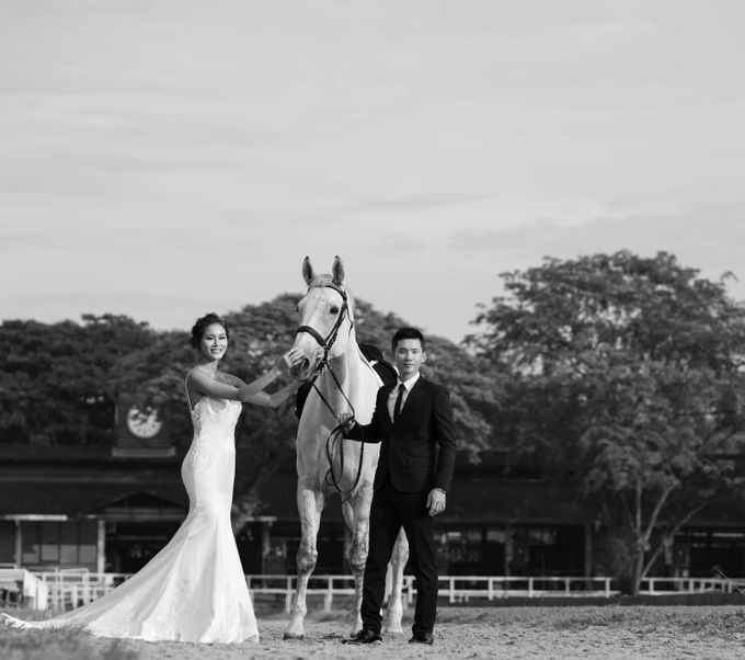 EG Couture Wedding Gowns by Elizabeth Grace Couture - 031 EG Couture Wedding Gowns by Elizabeth Grace Couture - 031