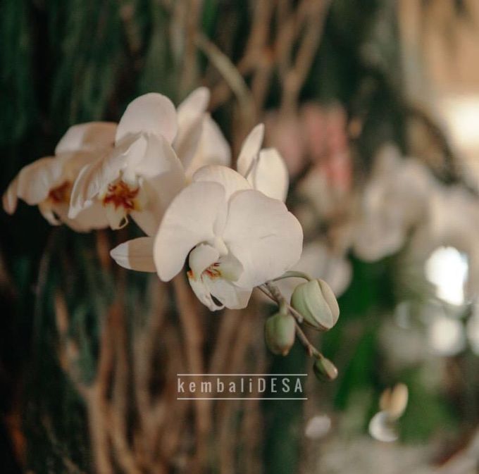 Rustic Decoration by kembaliDESA - 003 Rustic Decoration by kembaliDESA - 003