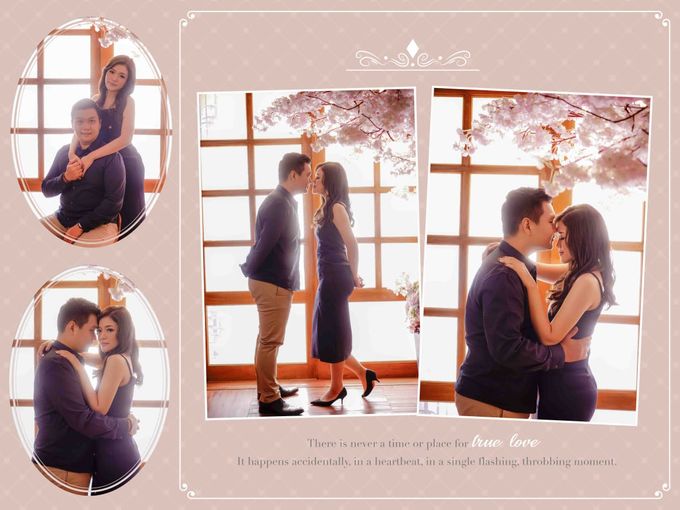 bridestory com