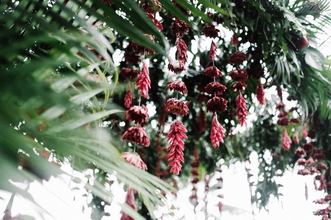 Black Marsala Wedding at Magical Ubud by Delapan Bali Event & Wedding - 001 Black Marsala Wedding at Magical Ubud by Delapan Bali Event & Wedding - 001