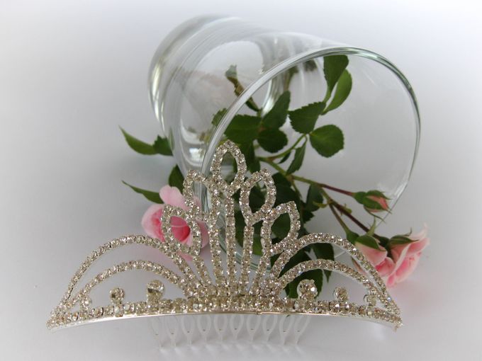 Bridal Tiara by Pamela Falli - 007 Bridal Tiara by Pamela Falli - 007