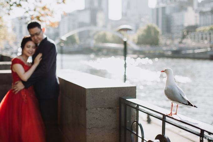 Henry & Milla Melbourne Prewedding by attelia bridal - 011 Henry & Milla Melbourne Prewedding by attelia bridal - 011