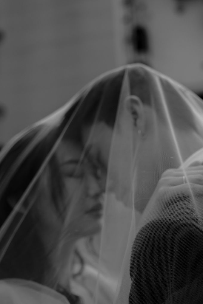 finding comfort in chaos | PWS by LUMA FILM - 009 finding comfort in chaos | PWS by LUMA FILM - 009