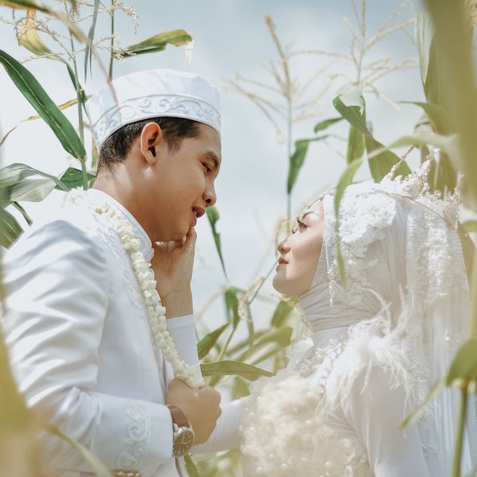 Wedding Collection by dapurmedia - 005