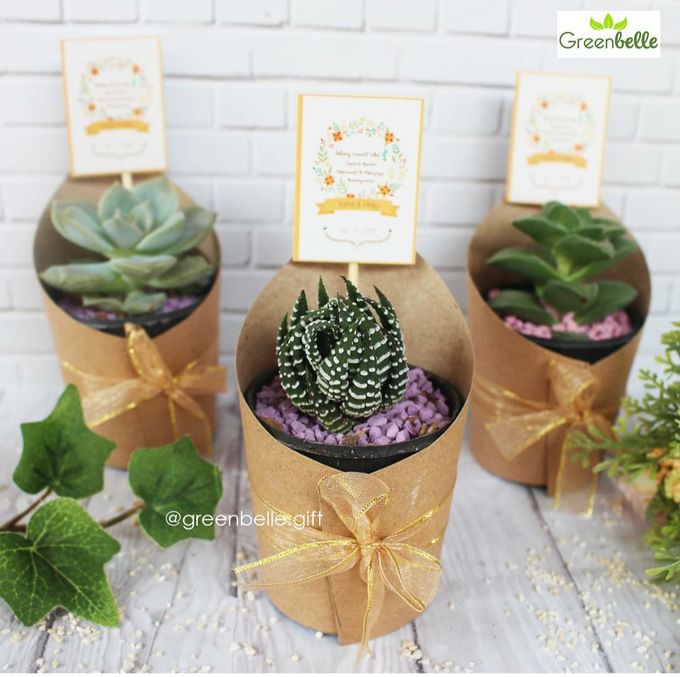 Wedding Of Renata & Melki - Sukulen Buket Kertas by Greenbelle Souvenir - 001 Wedding Of Renata & Melki - Sukulen Buket Kertas by Greenbelle Souvenir - 001