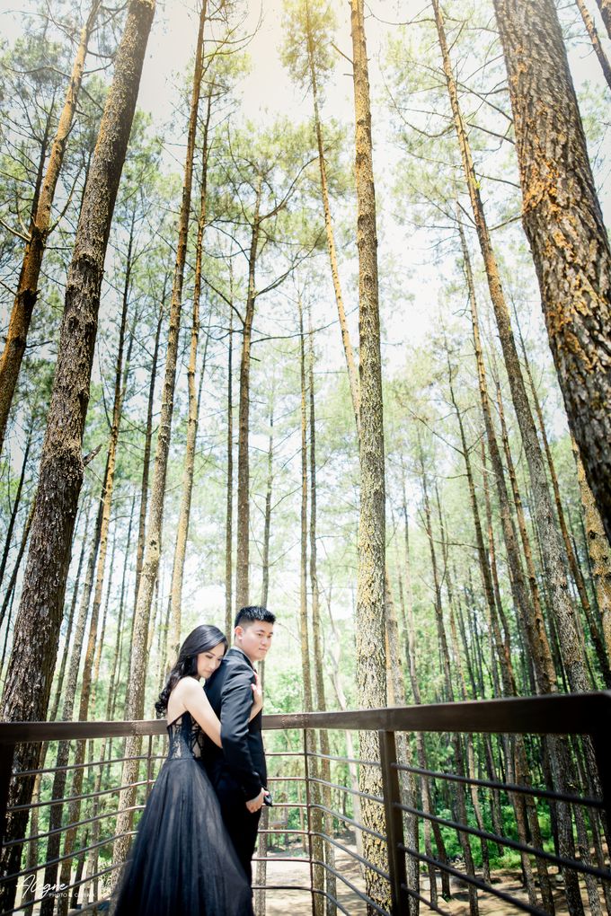 CINDY AND ALEX PREWEDDING by ALEGRE Photo & Cinema - 011 CINDY AND ALEX PREWEDDING by ALEGRE Photo & Cinema - 011