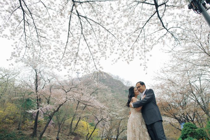 Jeff & Rachel Seoul Pre-wedding by Ian Vins - 034 Jeff & Rachel Seoul Pre-wedding by Ian Vins - 034