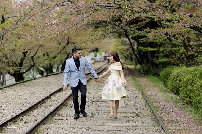 Lovely Cherry Blossom by ridzkysetiaji photo - 036 Lovely Cherry Blossom by ridzkysetiaji photo - 036