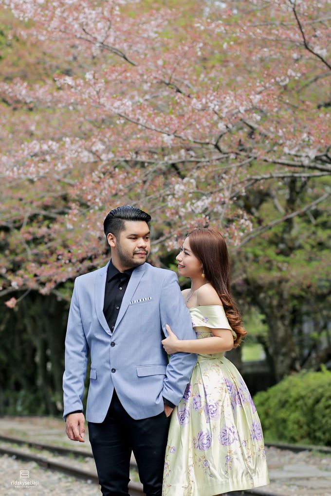 Lovely Cherry Blossom by ridzkysetiaji photo - 037 Lovely Cherry Blossom by ridzkysetiaji photo - 037