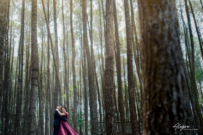 DIANA & STEVANO PREWEDDING by ALEGRE Photo & Cinema - 017 DIANA & STEVANO PREWEDDING by ALEGRE Photo & Cinema - 017