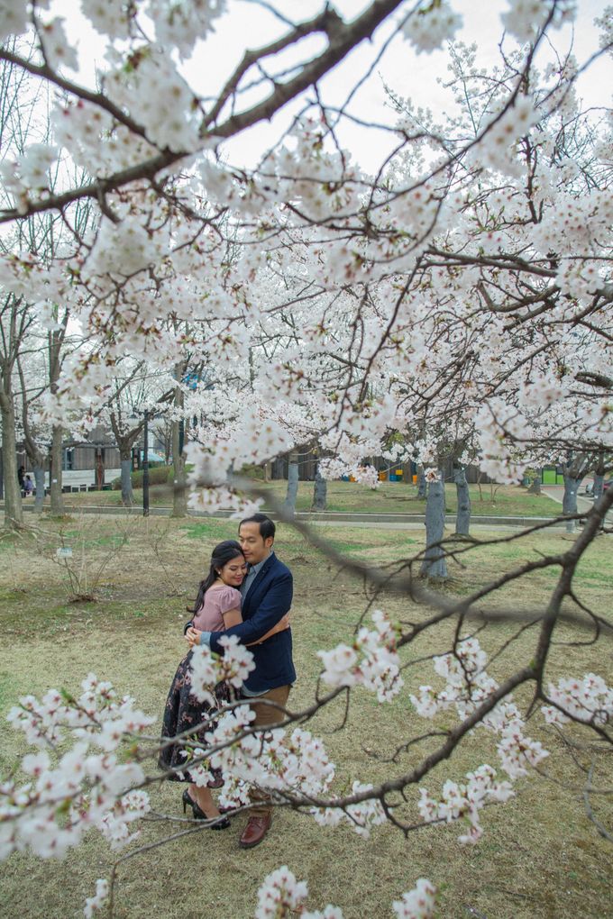 Jeff & Rachel Seoul Pre-wedding by Ian Vins - 002 Jeff & Rachel Seoul Pre-wedding by Ian Vins - 002