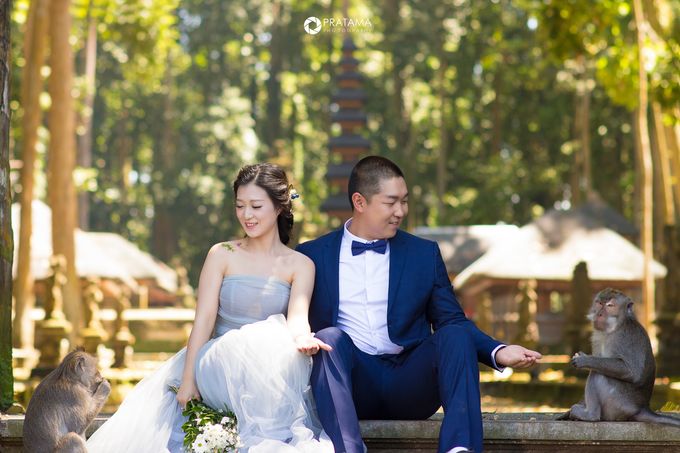 From China To Sangeh by Pratama Photography - 008 From China To Sangeh by Pratama Photography - 008