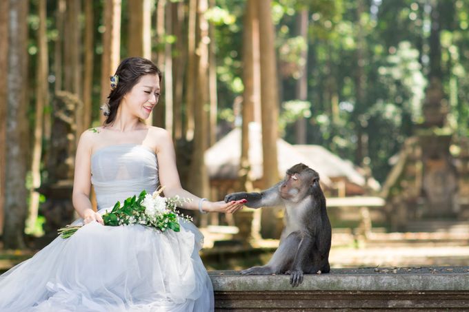 From China To Sangeh by Pratama Photography - 005 From China To Sangeh by Pratama Photography - 005