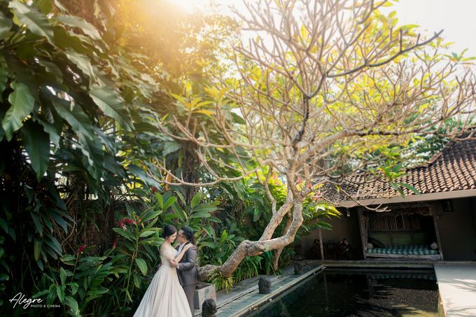 JESSICA & GENTA PREWEDDING by ALEGRE Photo & Cinema - 008 JESSICA & GENTA PREWEDDING by ALEGRE Photo & Cinema - 008