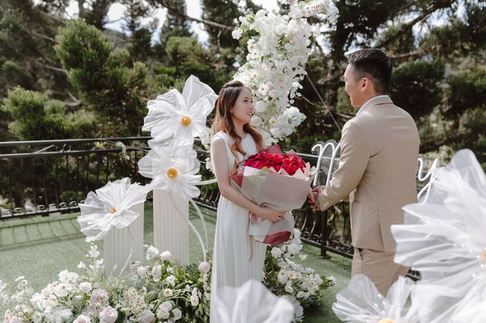 Cameron Highland Resort |Marriage Proposal | Andy & Su Wern by JOHN HO PHOTOGRAPHY - 018