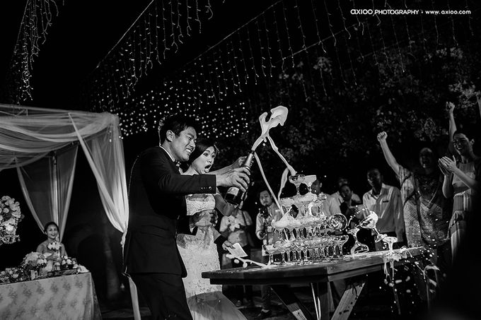 Celebration 1 Celebration 2 - Introduction Dodo by Axioo - 047 Celebration 1 Celebration 2 - Introduction Dodo by Axioo - 047